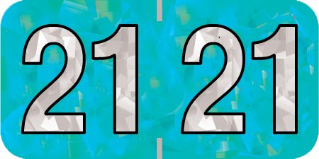 6. 2021 Holographics