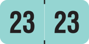 Reynolds/Reynolds -        2023 - Aqua/Black 1 1/2" x 3/4", 500/Roll