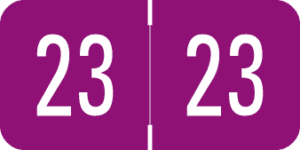 GBS/VRE -        2023 - Purple/White 1 1/2" x 3/4", 500/Roll