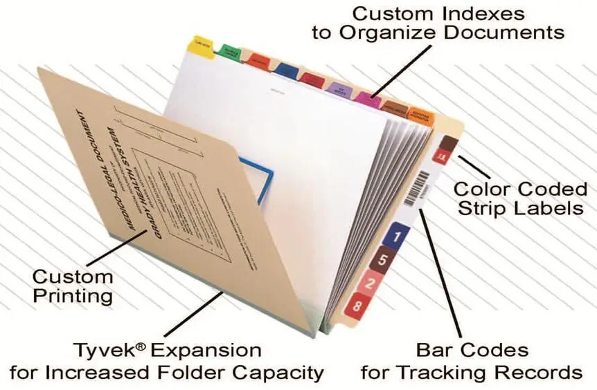 Custom File Folders Showing Strip Label, Divider Set, Print, Gusset