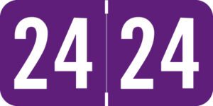 Acme -         2024 - Purple/White 1 1/2" x 3/4", 500/Roll