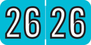 Amerifile -           2026 - Lt. Blue/White 1 1/2" x 3/4", 500/Roll