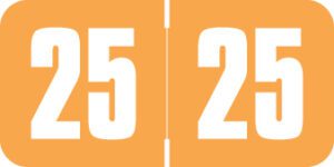 Safeguard -          2025 - Orange/White 1 1/2" x 3/4", 500/Roll