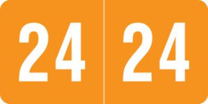 Smead -            2024 - Orange/White 1" x 1/2" - Roll of 500