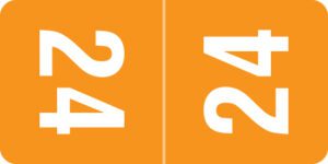 Smead -           2024 - Orange/White 1" x 1/2" - Roll of 500